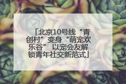 北京10号线“青创村”变身“萌宠欢乐谷” 以宠会友解锁青年社交新范式